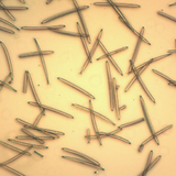 MediLift Needle Lift First Essence